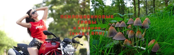 мяу мяу мука Балахна