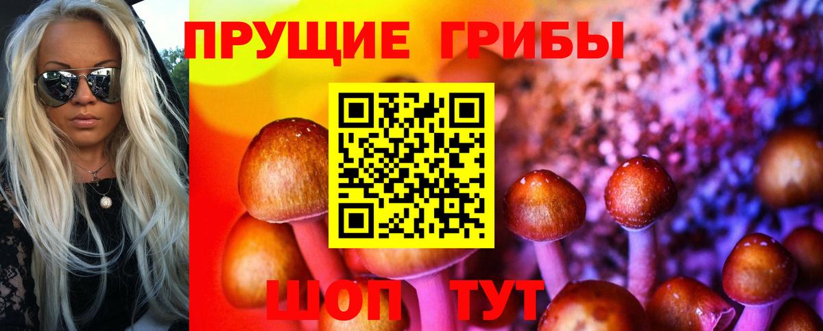 Усть-Джегута  Галлюциногенные грибы прущие грибы  Вход с VPN 