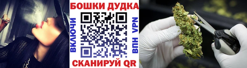 Марихуана индика  Усть-Джегута 