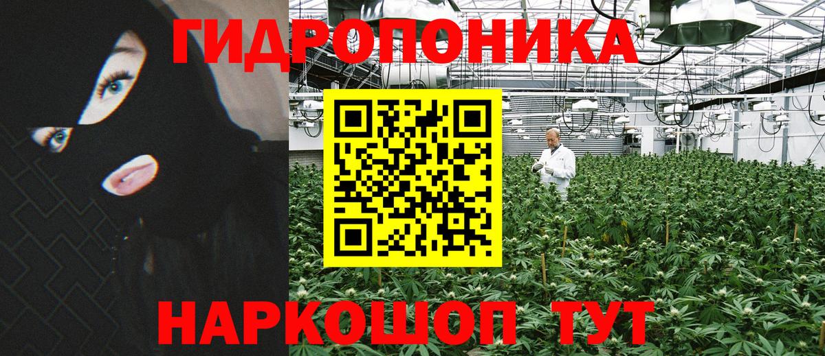 Марихуана гибрид Усть-Джегута